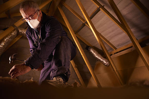 Best DIY Insulation Kits and Guidance in Hart, MI