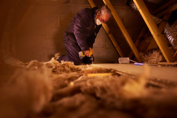 Best Geographic-Specific Insulation Services in Hart, MI